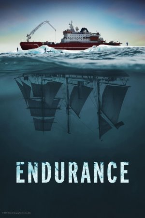 Batık Gemi Endurance posteri